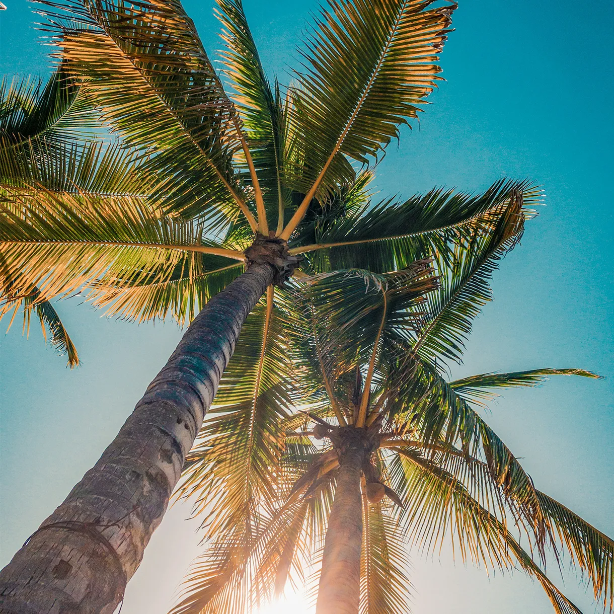 Reiseversicherung bei Meyer & Team – gut abgesichert im Urlaub